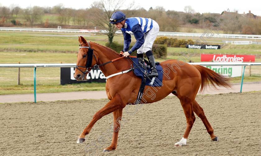 Freebe-Rocks-0001 
 FREEBE ROCKS (Kieran O'Neill)
Lingfield 2 Mar 2019 - Pic Steven Cargill / Racingfotos.com