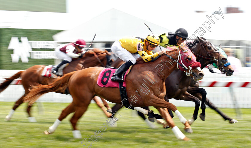 Family-Tree-0002 
 FAMILY TREE (Sheldon Russell) wins Optional Claimer
Pimlico, Baltimore USA, 17 May 2019 - Pic Steven Cargill / Racingfotos.com