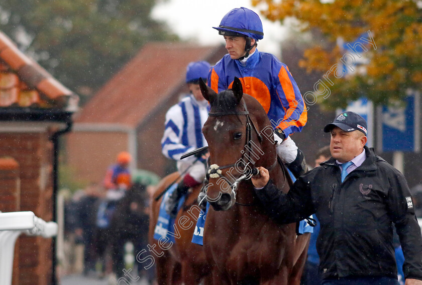 Rock-Of-Cashel-0003 
 ROCK OF CASHEL (Wayne Lordan)
Newmarket 12 Oct 2024 - Pic Steven Cargill / Racingfotos.com