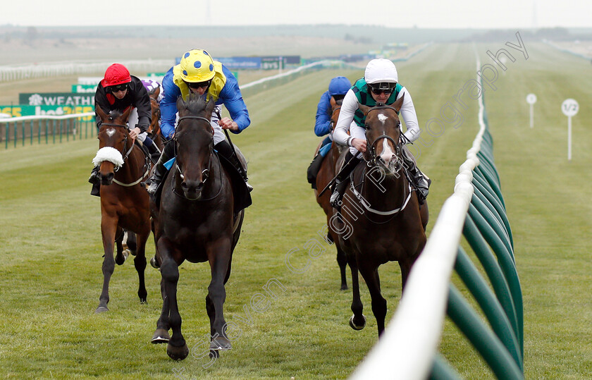 Solid-Stone-0003 
 SOLID STONE (left, Ryan Moore) beats WAR TIGER (right) in The bet365 Handicap
Newmarket 16 Apr 2019 - Pic Steven Cargill / Racingfotos.com