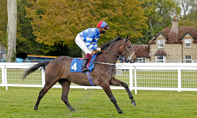 Mountain-Ash-0001 
 MOUNTAIN ASH (Rob Hornby)
Salisbury 1 Oct 2020 - Pic Steven Cargill / Racingfotos.com