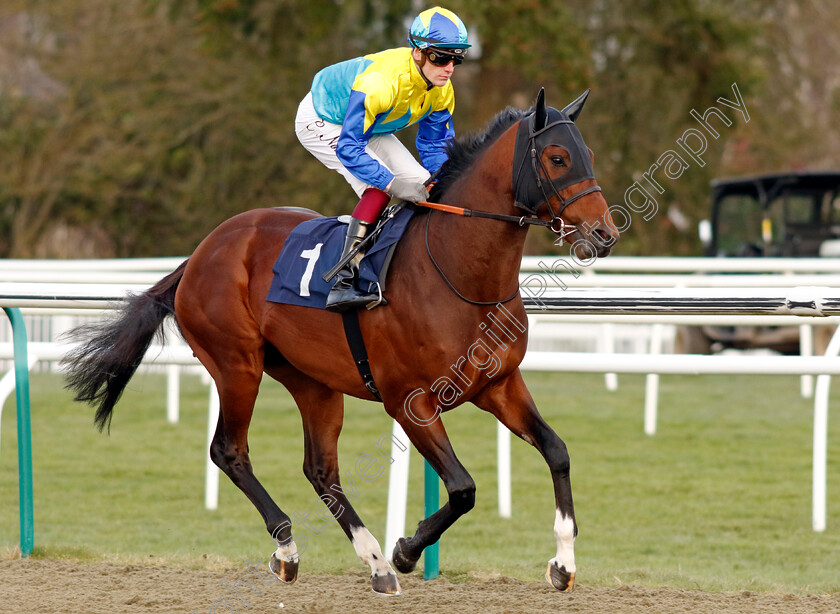 Dragon-Icon-0002 
 DRAGON ICON (Cameron Noble)
Lingfield 20 Jan 2024 - Pic Steven Cargill / Racingfotos.com