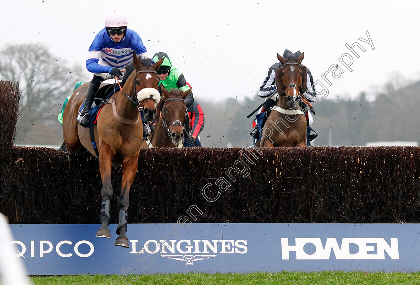 Solo-0004 
 SOLO (Harry Cobden)
Ascot 21 Dec 2024 - Pic Steven Cargill / Racingfotos.com