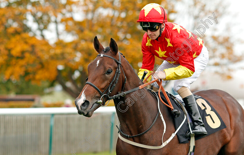 Bondi-Sands-0001 
 BONDI SANDS (Joe Fanning)
Newmarket 23 Oct 2019 - Pic Steven Cargill / Racingfotos.com