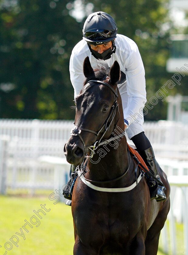 Detail-0001 
 DETAIL (Sean Levey)
Newbury 16 Jul 2021 - Pic Steven Cargill / Racingfotos.com