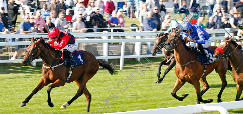 Naina-0004 
 NAINA (Silvestre de Sousa) wins The Download The Raceday Ready App Nursery
Yarmouth 17 Sep 2024 - Pic Steven Cargill / Racingfotos.com