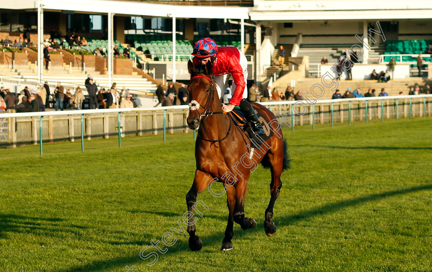 Different-Drum-0001 
 DIFFERENT DRUM (Rossa Ryan)
Newmarket 25 Oct 2023 - Pic Steven Cargill / Racingfotos.com