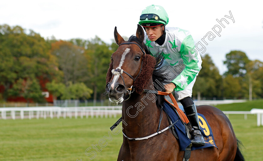 Merlin s-Beard-0001 
 MERLIN'S BEARD (George Rooke)
Bro Park 18 Sep 2022 - Pic Steven Cargill / Racingfotos.com