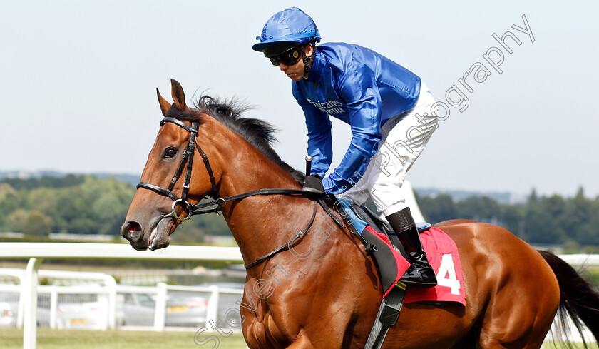 First-Nation-0002 
 FIRST NATION (Kerrin McEvoy)
Sandown 5 Jul 2019 - Pic Steven Cargill / Racingfotos.com