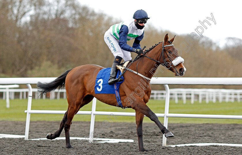 Auriferous-0001 
 AURIFEROUS (William Cox)
Kempton 27 Mar 2021 - Pic Steven Cargill / Racingfotos.com