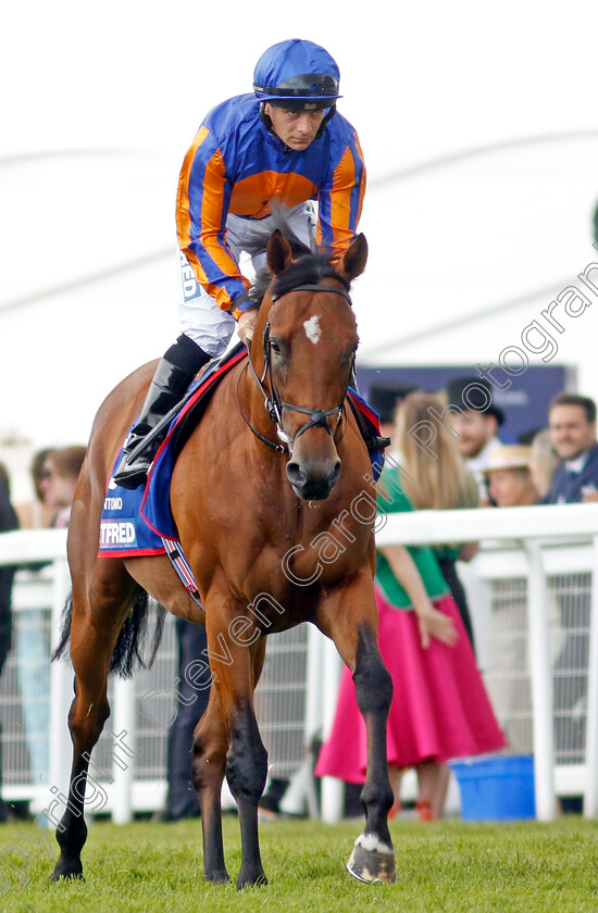 San-Antonio-0002 
 SAN ANTONIO (Wayne Lordan)
Epsom 3 Jun 2023 - Pic Steven Cargill / Racingfotos.com