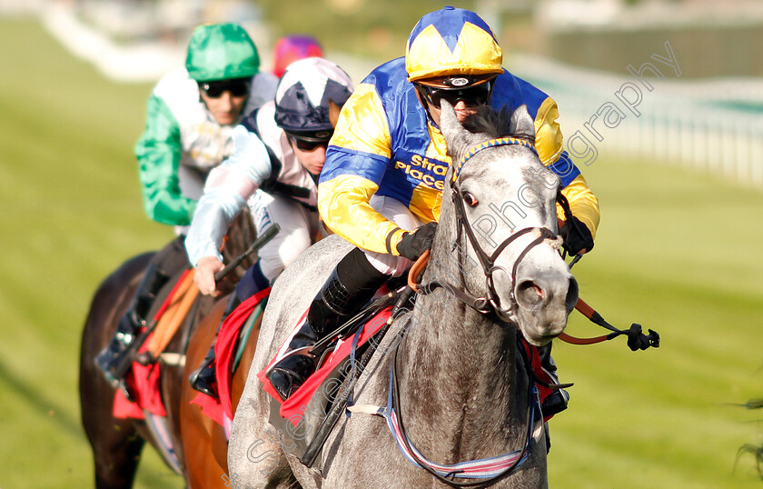 Flippa-The-Strippa-0006 
 FLIPPA THE STRIPPA (Silvestre De Sousa) wins The Matchbook Betting Podcast National Stakes
Sandown 23 May 2019 - Pic Steven Cargill / Racingfotos.com