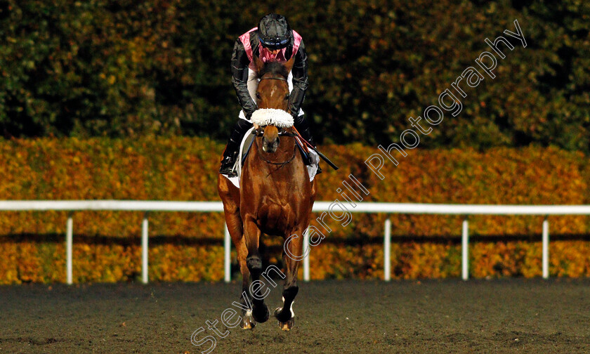 Here-And-Now-0001 
 HERE AND NOW (Rossa Ryan)
Kempton 10 Nov 2021 - Pic Steven Cargill / Racingfotos.com