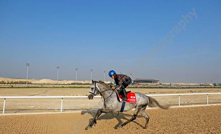 Yamanin-Sympa-0002 
 YAMANIN SYMPA training for the Bahrain International Trophy
Kingdom of Bahrain 14 Nov 2024 - Pic Steven Cargill / Racingfotos.com