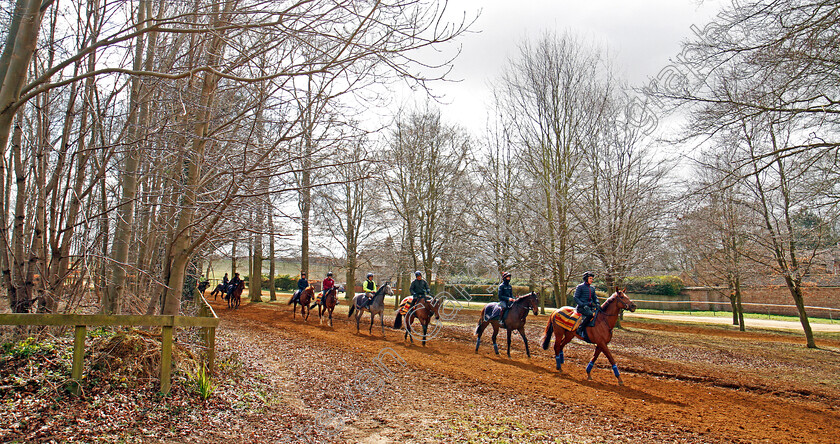 John-Gosden-0009 
 Two year olds trained by John Gosden return from the gallops at Newmarket 23 Mar 2018 - Pic Steven Cargill / Racingfotos.com