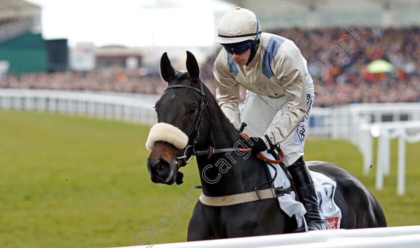 Dame-Rose-0001 
 DAME ROSE (Jonathan Burke) Cheltenham 13 Mar 2018 - Pic Steven Cargill / Racingfotos.com