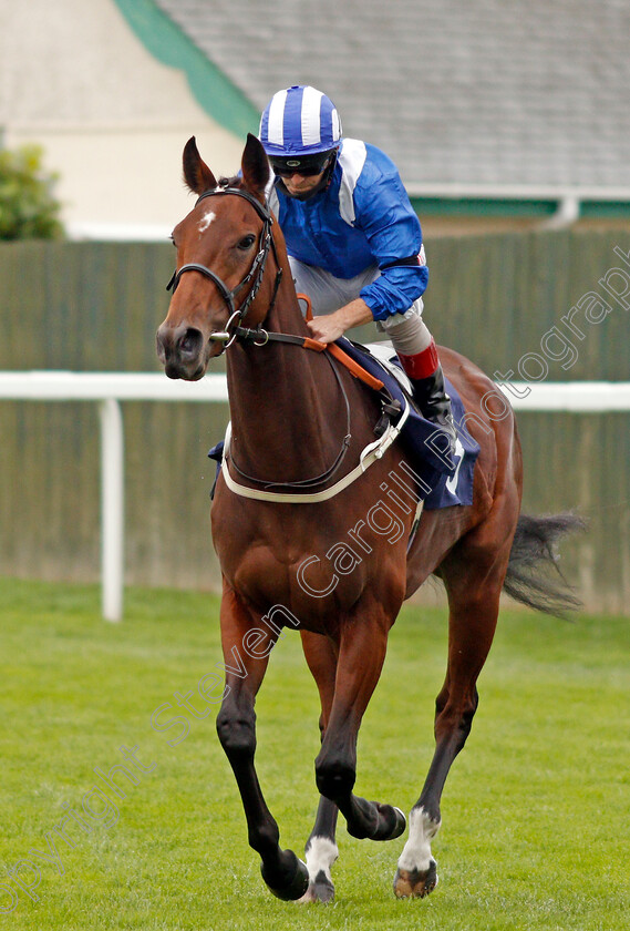 Huboor-0001 
 HUBOOR (Franny Norton)
Yarmouth 16 Sep 2020 - Pic Steven Cargill / Racingfotos.com