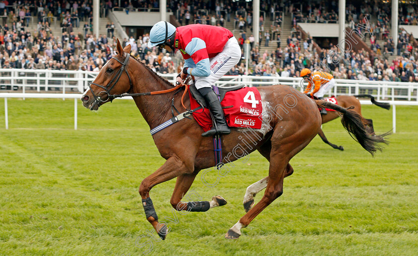 Fortune-Bound-0004 
 FORTUNE BOUND (Martin McIntyre) wins The Connolly's Red Mills Intermediate Point to Point Championship Final Hunters Chase Cheltenham 4 May 2018 - Pic Steven Cargill / Racingfotos.com