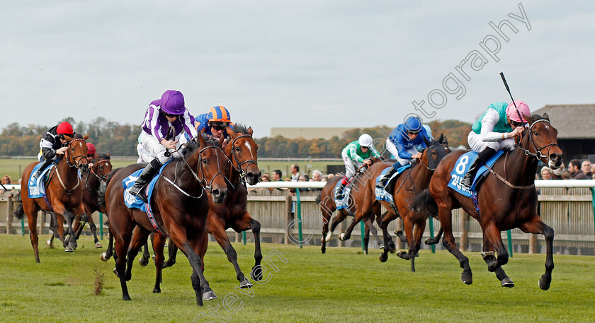 Gavota-and-I-Can-Fly-0002 
 GAVOTA (right, James Doyle) and I CAN FLY (left) Newmarket 13 Oct 2017 - Pic Steven Cargill / Racingfotos.com