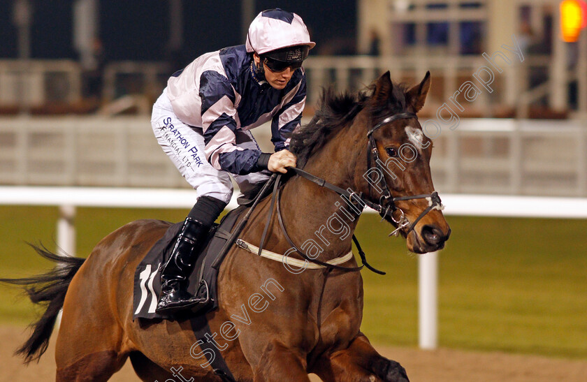 Seek-The-Moon-0002 
 SEEK THE MOON (Phillip Makin) Chelmsford 1 Dec 2017 - Pic Steven Cargill / Racingfotos.com