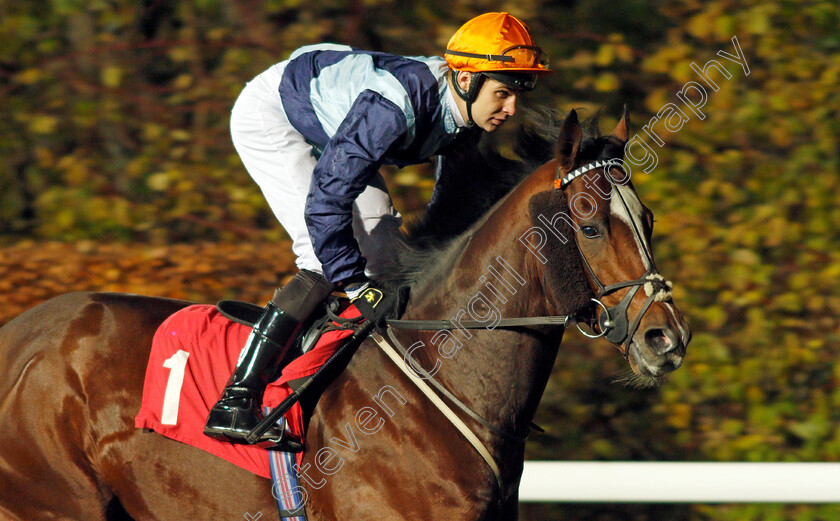 Accidental-Agent-0001 
 ACCIDENTAL AGENT (Charles Bishop)
Kempton 20 Nov 2019 - Pic Steven Cargill / Racingfotos.com