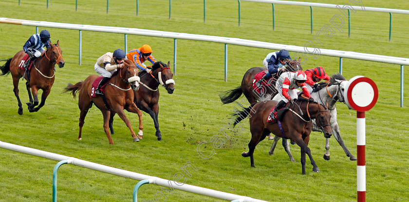 Count-D Orsay-0002 
 COUNT D'ORSAY (David Allan) wins The Betfair Each Way Edge Be Friendly Handicap
Haydock 5 Sep 2020 - Pic Steven Cargill / Racingfotos.com