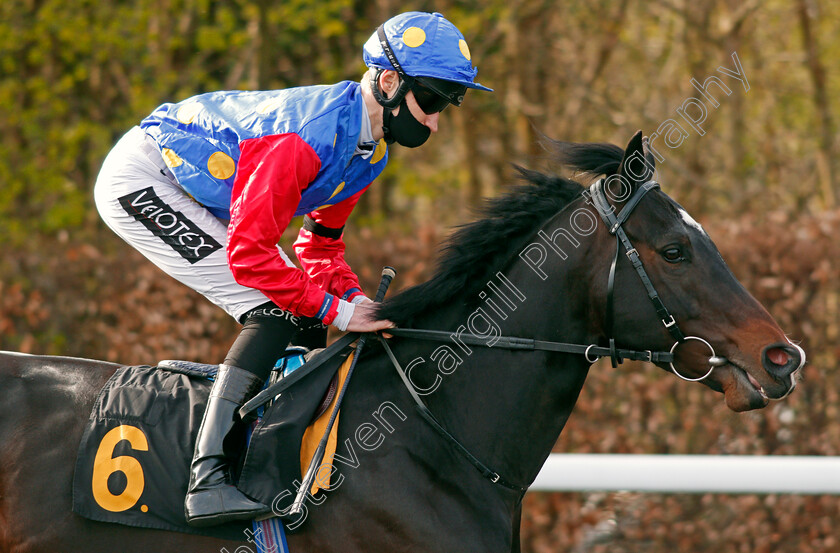 Praise-The-Lord-0001 
 PRAISE THE LORD (Daniel Muscutt)
Kempton 27 Mar 2021 - Pic Steven Cargill / Racingfotos.com