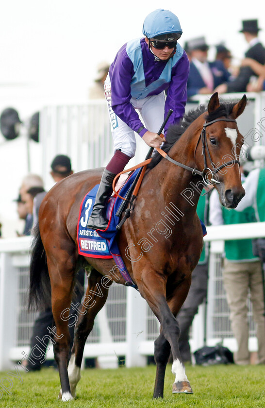 Artistic-Star-0001 
 ARTISTIC STAR (Rob Hornby)
Epsom 3 Jun 2023 - Pic Steven Cargill / Racingfotos.com