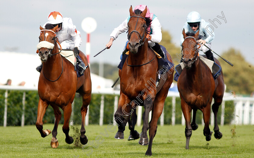 Sangarius-0007 
 SANGARIUS (Ryan Moore) beats DUBAI DOMINION (left) in The Weatherbys Global Stallions App Flying Scotsman Stakes
Doncaster 14 Sep 2018 - Pic Steven Cargill / Racingfotos.com