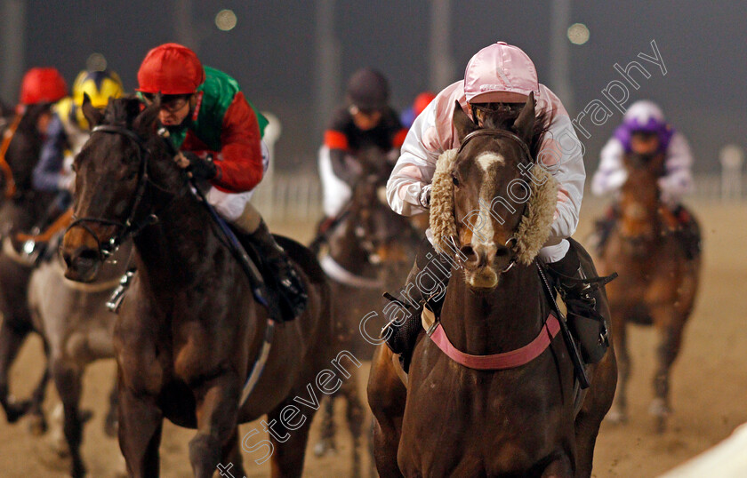 Freedom-And-Wheat-0003 
 FREEDOM AND WHEAT (Marco Ghiani) wins The tote.co.uk Free Streaming Every Uk Race Handicap
Chelmsford 27 Nov 2020 - Pic Steven Cargill / Racingfotos.com