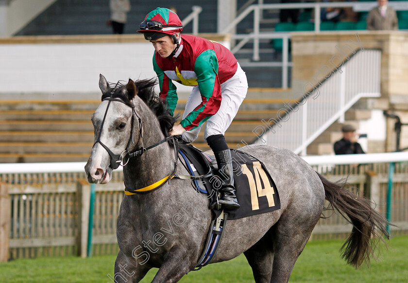 The-Mouse-King 
 THE MOUSE KING (Dylan Hogan)
Newmarket 20 Oct 2021 - Pic Steven Cargill / Racingfotos.com