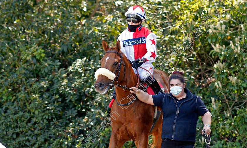 Fantasy-Master-0001 
 FANTASY MASTER (Hollie Doyle)
Sandown 23 Apr 2021 - Pic Steven Cargill / Racingfotos.com