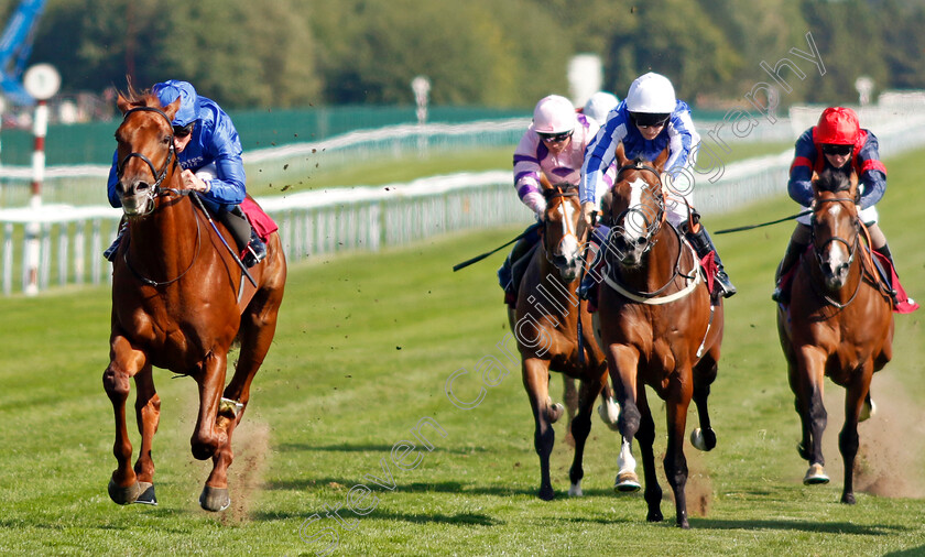 Castle-Way-0005 
 CASTLE WAY (William Buick) beats KING ME (right) in The Together Commercial Finance EBF Novice Stakes
Haydock 1 Sep 2022 - Pic Steven Cargill / Racingfotos.com