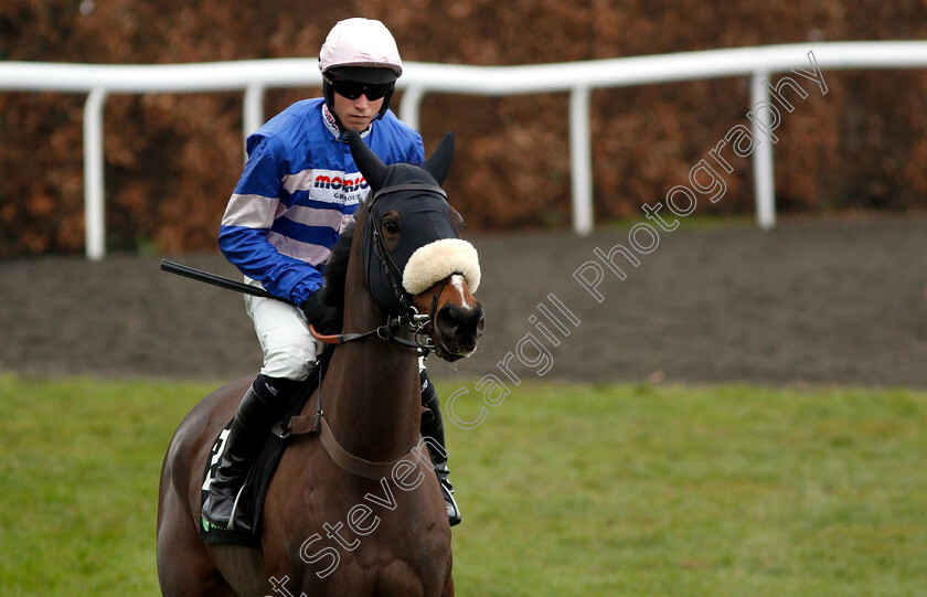 Darling-Maltaix-0002 
 DARLING MALTAIX (Lorcan Williams)
Kempton 12 Jan 2019 - Pic Steven Cargill / Racingfotos.com