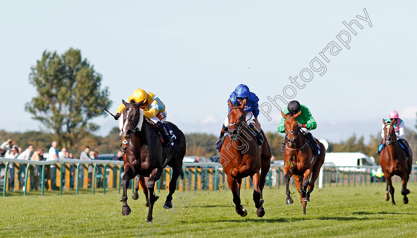 Zack-Mayo-0002 
 ZACK MAYO (left, Silvestre De Sousa) beats HIGH END (centre) in The Dan Hague Yarmouth's Number 1 Bookmaker Handicap Yarmouth 19 Sep 2017 - Pic Steven Cargill / Racingfotos.com