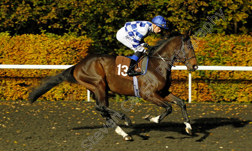 War-Director-0002 
 WAR DIRECTOR (Benoit de la Sayette)
Kempton 15 Nov 2023 - Pic Steven Cargill / Racingfotos.com