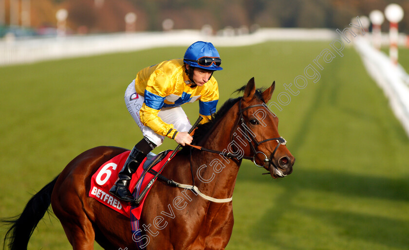 Star-Rock-0001 
 STAR ROCK (P J McDonald) winner of The Betfred TV EBF Stallions Breeding Winners Gillies Fillies Stakes Doncaster 11 Nov 2017 - Pic Steven Cargill / Racingfotos.com