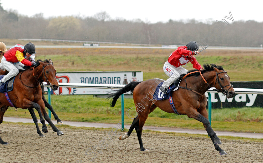 Simple-Star-0003 
 SIMPLE STAR (Hollie Doyle) wins The Play Ladbrokes 5-A-Side On Football Handicap
Lingfield 26 Mar 2021 - Pic Steven Cargill / Racingfotos.com