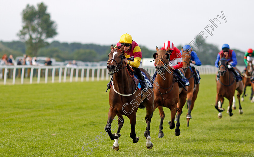 The-Thunderer-0003 
 THE THUNDERER (Jack Mitchell) wins The Quinnbet Best Odds Guaranteed Maiden Handicap
Yarmouth 14 Jul 2021 - Pic Steven Cargill / Racingfotos.com