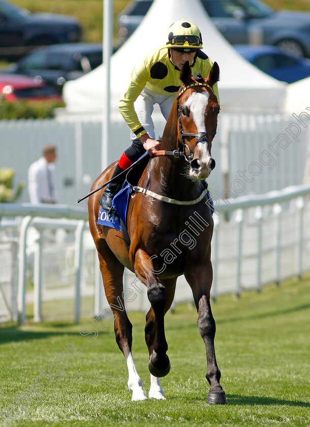 Bystander-0001 
 BYSTANDER (Clifford Lee)
Goodwood 30 Jul 2024 - Pic Steven Cargill / Racingfotos.com