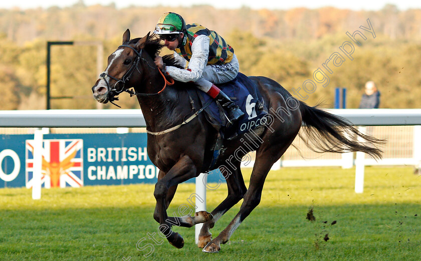 Escobar-0002 
 ESCOBAR (Adam Kirby) wins The Balmoral Handicap
Ascot 19 Oct 2019 - Pic Steven Cargill / Racingfotos.com