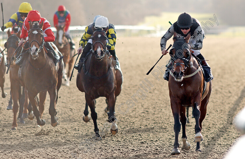 Bo-Selecta-0002 
 BO SELECTA (right, Stevie Donohoe) beats VIOLET'S LADS (centre) and FORTUNE AND GLORY (left) in The Play Jackpot Games At sunbets.co.uk/vegas Maiden Handicap Lingfield 10 Jan 2018 - Pic Steven Cargill / Racingfotos.com