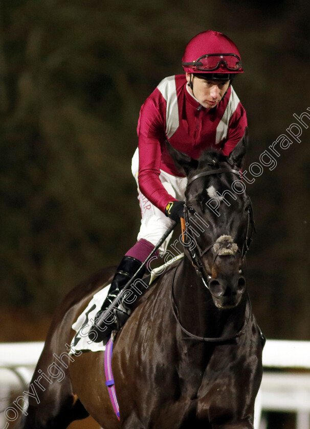 Eydon-0001 
 EYDON (Oisin Murphy)
Kempton 11 Dec 2024 - Pic Steven Cargill / Racingfotos.com