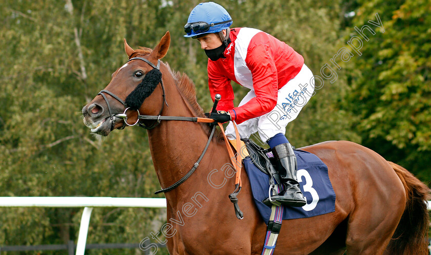 Melnikova-0001 
 MELNIKOVA (Jim Crowley)
Lingfield 2 Sep 2020 - Pic Steven Cargill / Racingfotos.com