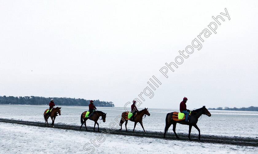 Newmarket-Snow-0001 
 Racehorses training in the snow at Newmarket
1 Feb 2019 - Pic Steven Cargill / Racingfotos.com