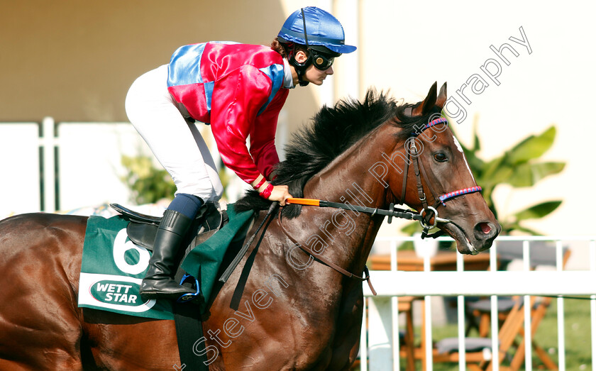 Ilsola-0001 
 ILSOLA (Anna van den Troost)
Baden Baden 1 Sep 2024 - Pic Steven Cargill / Racingfotos.com