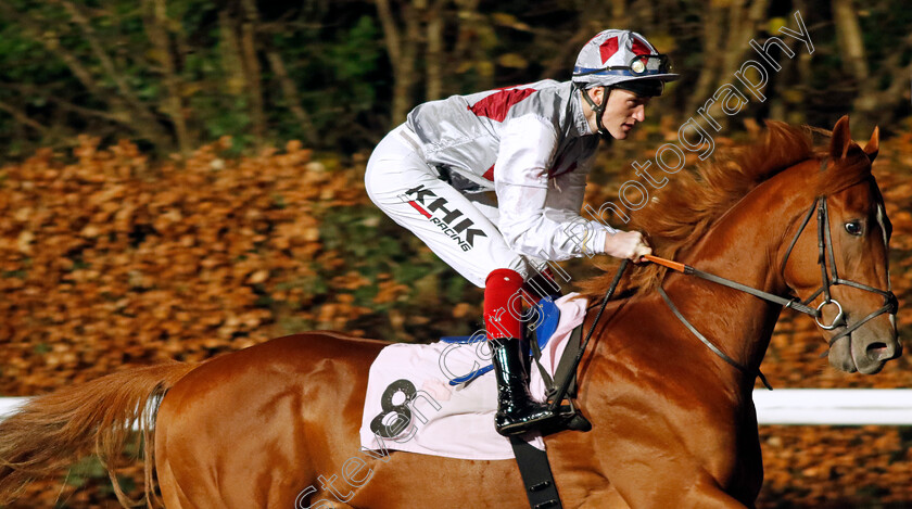 Regal-Defence-0001 
 REGAL DEFENCE (David Egan)
Kempton 13 Dec 2023 - Pic Steven Cargill / Racingfotos.com