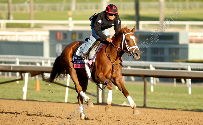 Life s-An-Audible-0001 
 LIFE'S AN AUDIBLE training for The Breeders' Cup Juvenile Fillies Turf
Santa Anita USA, 30 October 2023 - Pic Steven Cargill / Racingfotos.com