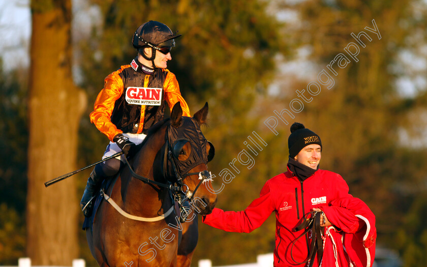 Starshiba-0001 
 STARSHIBA (Daniel Muscutt)
Lingfield 21 Jan 2023 - Pic Steven Cargill / Racingfotos.com