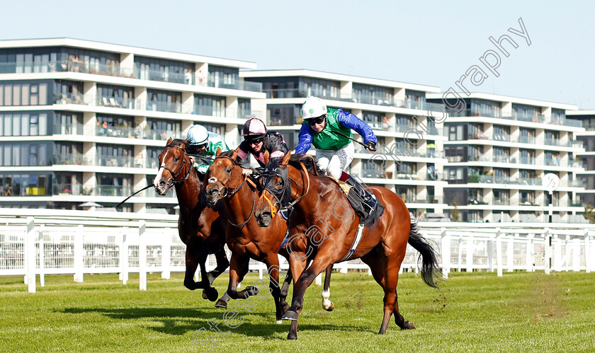 Jimmy-Sparks-0001 
 JIMMY SPARKS (Oisin Murphy) wins The Dubai Duty Free Nursery
Newbury 18 Sep 2020 - Pic Steven Cargill / Racingfotos.com